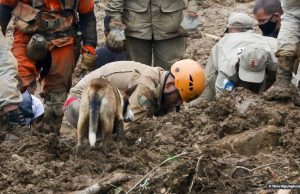 Mortes pela chuva em Petrópolis chegam a 120De acordo com a Defesa Civil municipal de Petrópolis, núcleos de chuva de fraca a moderada se deslocam hoje em direção à cidade