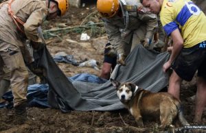 Chuva em Petrópolis já deixou mais de 100 mortos e mais de 300 pessoas desalojadasOs trabalhos de resgate resultaram no salvamento de 24 pessoas até a noite de ontem