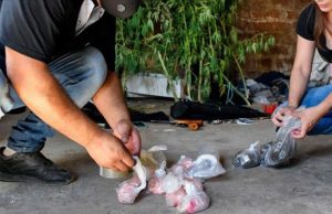 Cocaína batizada com veneno de rato deixa 80 hospitalizados e 20 mortos na Argentina