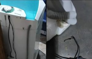 Dona de casa morre após receber choque em máquina de lavar