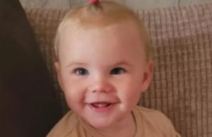 TRAGÉDIA – Bebê morre após ataque de cachorro comprado pela família há uma semana