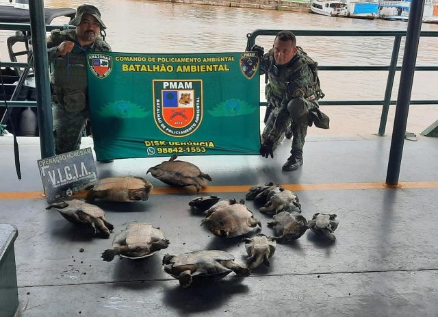 QUELONIOS, EM PARINTINS JPEG