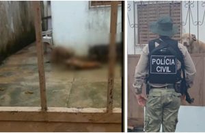 VÍDEO CHOCANTE – Pitbulls abandonados se matam após passar dias com fome em ManausCanibalismo animal