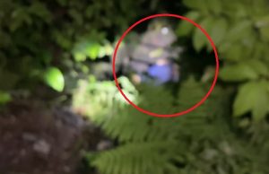 Passageiros revoltados pegam assaltante dão ‘corretivo’ e jogam corpo em barranco na Max Teixeira