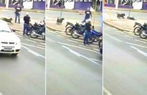 Homem saca arma e atira em cadela no meio da rua