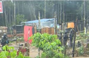 Operação retira barracos de invasão batizada de ‘Comunidade David Almeida’