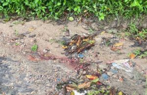 Vítima sai de casa para encontrar amigos e é encontrado morto com vários tiros em Manaus