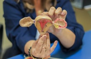 Maternidade Dr. Moura Tapajóz realiza novo mutirão para inserção de DIU