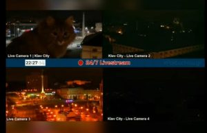 Vídeo: gatinho invade live que transmitia ataque russo em Kiev