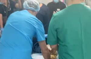 Ucrânia: bombas atingem hospital infantil do câncer e matam ao menos uma criançaGurrea sem trégua