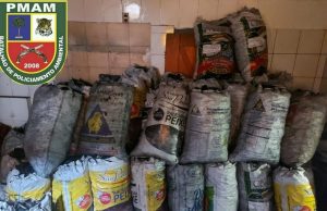 Carga de carvão vegetal ilegal é apreendida em ManausMaterial estava em um depósito e não possuía documento de origem