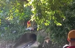 Populares encontram cadáver boiando em igarapé na Autaz MirimO corpo foi removido com a ajuda do Corpo de Bombeiros