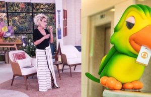 Ana Maria se emociona com a chegada no neto, filho de Louro José; veja o vídeo