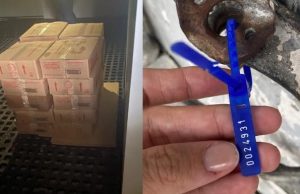 2 toneladas de manteiga produzida de forma irregular é descartada em ManausO estabelecimento recebeu ainda um auto de infração e deverá apresentar explicações à Adaf