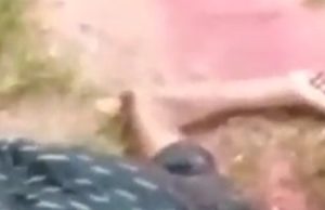 VÍDEO: padrasto ameaça bater na esposa e tem cabeça estourada a pauladas por enteado