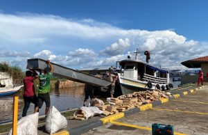 VÍDEO: PF aprende cerca 1.300 quilos de maconha em ‘submarinos’ do trafico no AM