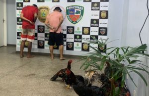 Vídeo: PM acaba com rinha de galo e prende membros de facção na Zona Leste de Manaus