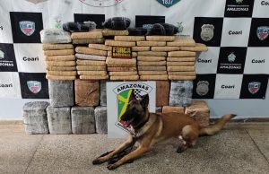 Cadela policial Luna encontra 111 quilos de maconha dentro de embarcação no AM