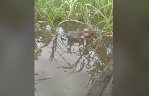 Corpo é encontrado boiando em igarapé no município de Iranduba