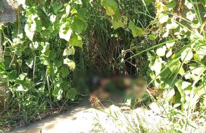 Catador de lixo encontra cadáver no meio do matagal no Conjunto Beija Flor