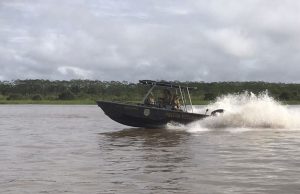 Senado aprova comissão para apurar desaparecimento na AmazôniaGrupo de senadores deverá ir até o Vale do Javari