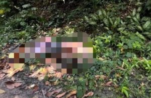 Mais um corpo é encontrado nesta quarta em área de mata em Manaus