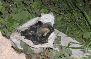 CRIME – Corpo esquartejado é achado em sacos plásticos na AM-010