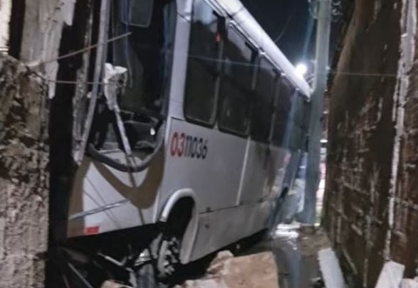 onibus