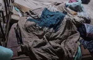 Mãe e filhos, em cárcere privado há 17 anos, são libertados de abusador