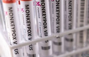 Varíola dos macacos: com 813 casos, Brasil tem situação “preocupante”É o que diz a Organização Mundial da Saúde