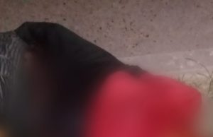 Ligação anônima leva PMs até corpo com perfurações no pescoço em Maués