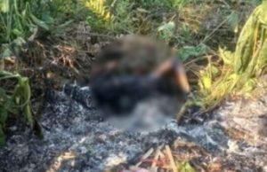 CRUELDADE – Mulher é assassinada e carbonizada em área de mata no Santa Etelvina, em Manaus