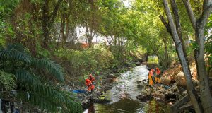 Avenida Brasil e igarapé do Franco recebem limpeza pesada