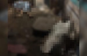 Duplo homicídio – Casal é executado dentro de casa no bairro Compensa