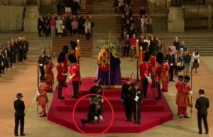 VÍDEO: Guarda real desmaia durante velório de rainha Elizabeth 2ª