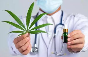 CFM suspende resolução sobre prescrição da Cannabis medicinalDecisão ocorre após mobilização de entidades e pacientes