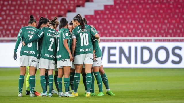 palmeiras