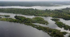 Preservação da Amazônia é prioridade do governo eleito na COP27Presidente eleito embarcou hoje para o Egito, onde ocorre o encontro