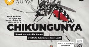 Instituto recruta voluntários para teste de vacina contra chikungunyaVoluntários devem ser adolescentes de 12 a 17 anos de idade