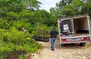 Esfaqueado e com marcas de agressão, corpo de mulher é encontrado em área de mata