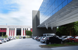 TCE-AM divulga lista com inscrições aprovadas para o Processo Seletivo de Estagiários