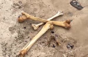 Com vazante, ossada humana é encontrada por trabalhadores no Porto de Manaus