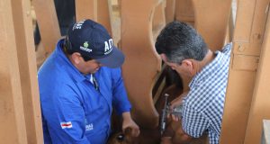 Adaf prorroga vacinação contra febre aftosa em oito municípios do AmazonasPrevisto para encerrar ontem (30/11), procedimento seguirá até o dia 17 de dezembro