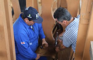 Adaf prorroga vacinação contra febre aftosa em oito municípios do AmazonasPrevisto para encerrar ontem (30/11), procedimento seguirá até o dia 17 de dezembro