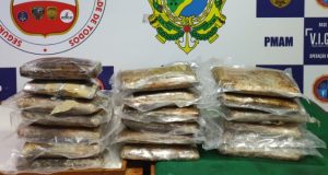 Com apoio de cadela policial, mais de 20 quilos de drogas são apreendidos em fundo falso de barcoMaterial resultou em mais de R$ 324 mil de prejuízo ao crime