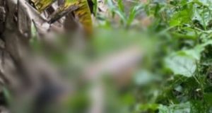 Corpo de homem sequestrado é encontrado pela irmã em área de mata na Zona Norte