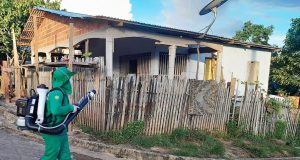 Amazonas alerta para aumento do número de casos de dengue