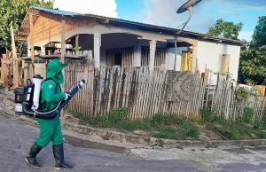 Amazonas alerta para aumento do número de casos de dengue