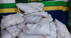 Na feira da Panair, polícia apreende 500 quilos de pescado ilegalOs produtos foram encontrados na Feira da Panair, na zona sul
