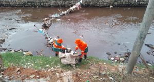 Igarapés de Manaus passam por limpeza pesada para remover lixo acumulado